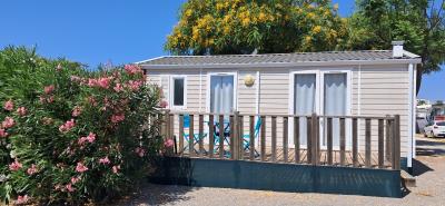 T10-Tavira--7-