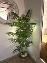 6-Palm-Court-Saydo--16-