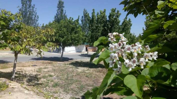 Image No.5-Mobile Home de 2 chambres à vendre à Humilladero