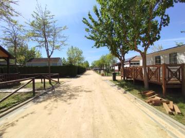 IRM-Rubis-228-Pine-Close-1