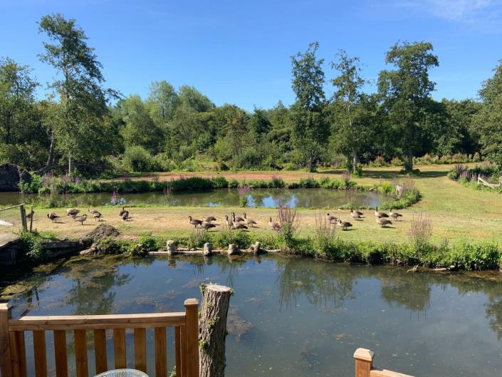 Image No.7-Mobile Home de 3 chambres à vendre à Le Touquet-Paris-Plage