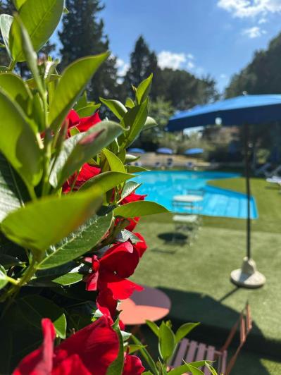 Image No.17-Mobile Home de 2 chambres à vendre à Montopoli