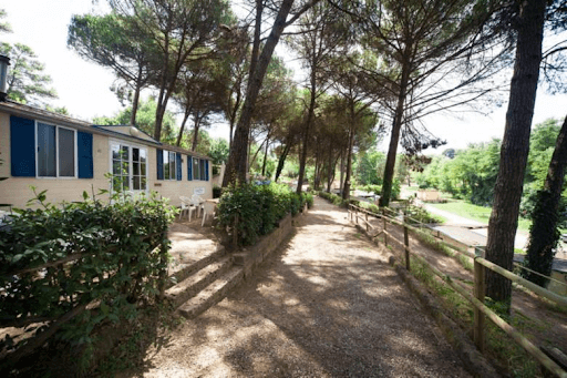 Image No.19-Mobile Home de 2 chambres à vendre à Montopoli