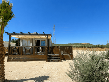 Willerby-Waverley-Pool-Court-Saydo-Park--7-
