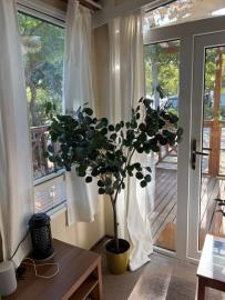 201206-El-Rocio--13-