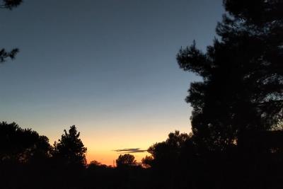 WhatsApp-Image-2026-01-31-at-06-50-23