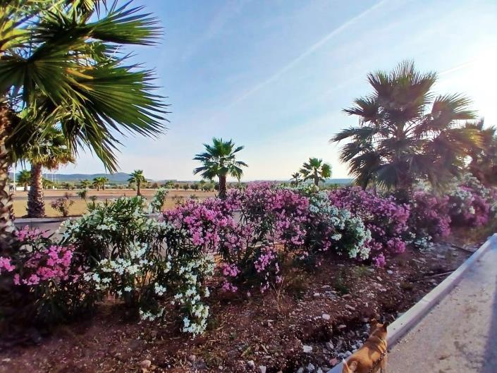 Image No.25-Mobile Home de 2 chambres à vendre à Mollina