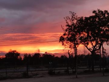 78-103-Bluebird-Caprice-El-Rocio-Spain--3-