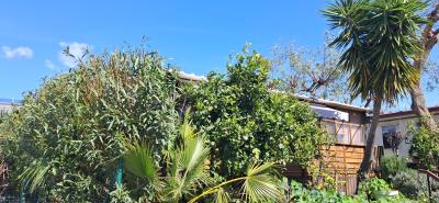 T26-Tavira-Portugal--15-