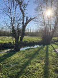 39-Chef-Boutonne--5-