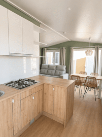 The Costa Blanca Prestige Demo Benidorm (7)