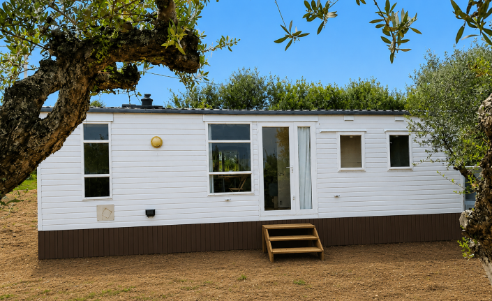 Image No.2-Mobile Home de 2 chambres à vendre à Zante