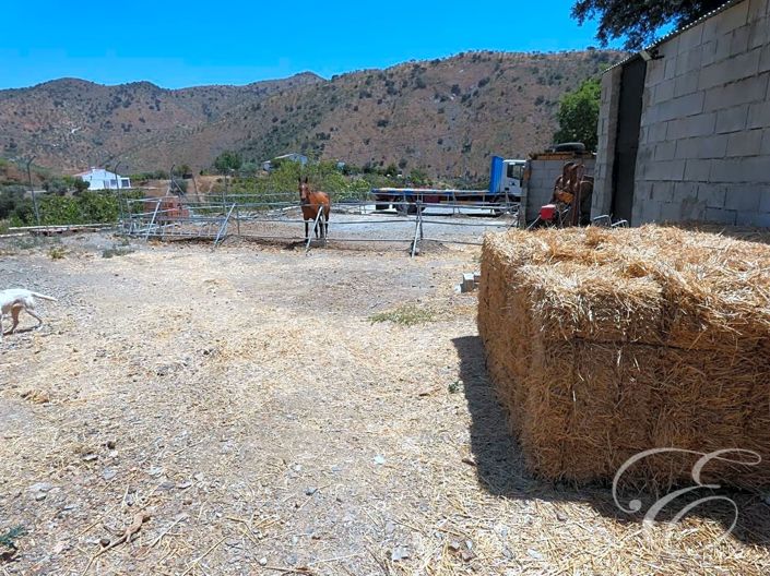 Image No.16-Propriété de 5 chambres à vendre à Casabermeja