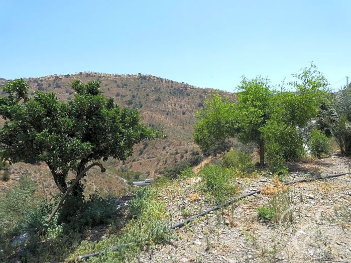 Image No.18-Propriété de 5 chambres à vendre à Casabermeja
