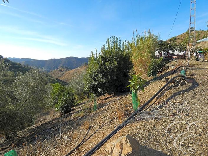 Image No.16-3 Bed Property for sale