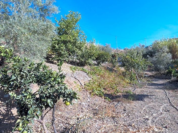 Image No.18-3 Bed Property for sale