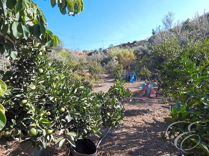 Image No.2-3 Bed Property for sale