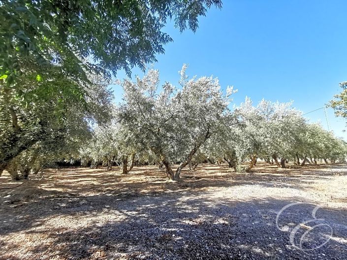 Image No.18-Propriété de 5 chambres à vendre à Moraleda de Zafayona