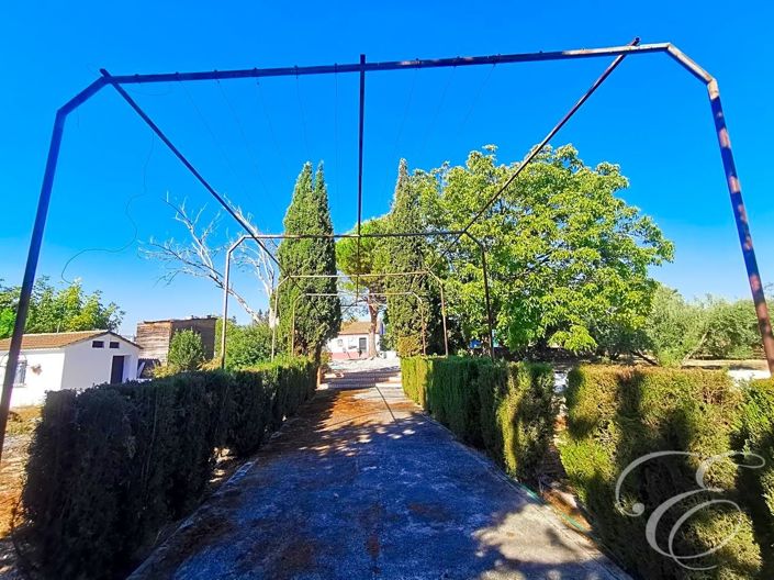 Image No.4-Propriété de 5 chambres à vendre à Moraleda de Zafayona