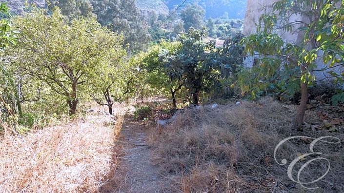 Image No.14-Propriété de 4 chambres à vendre à Benamargosa