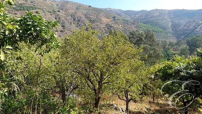 Image No.15-Propriété de 4 chambres à vendre à Benamargosa