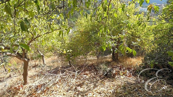 Image No.16-Propriété de 4 chambres à vendre à Benamargosa