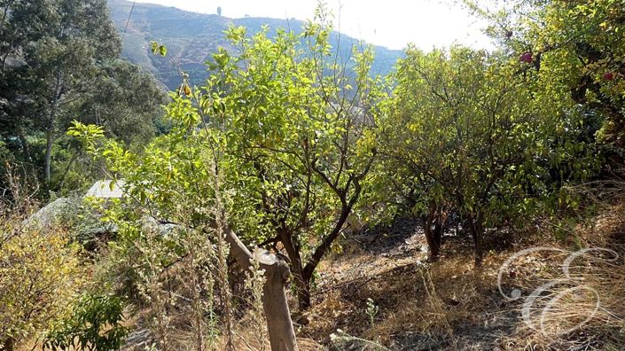 Image No.17-Propriété de 4 chambres à vendre à Benamargosa