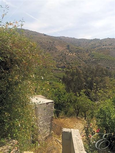 Image No.19-Propriété de 4 chambres à vendre à Benamargosa