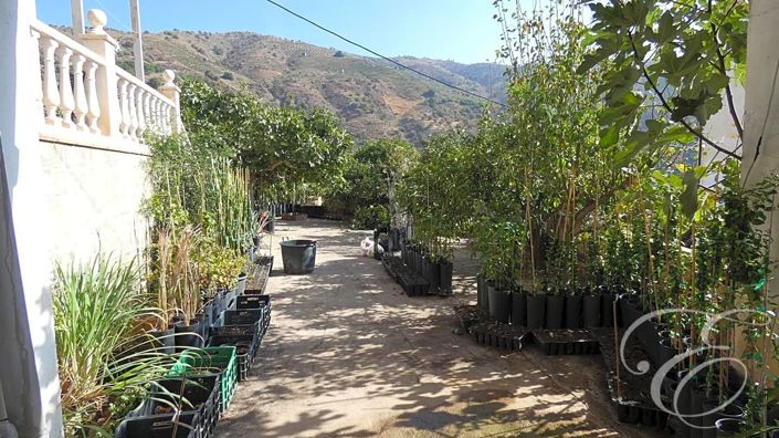 Image No.2-Propriété de 4 chambres à vendre à Benamargosa