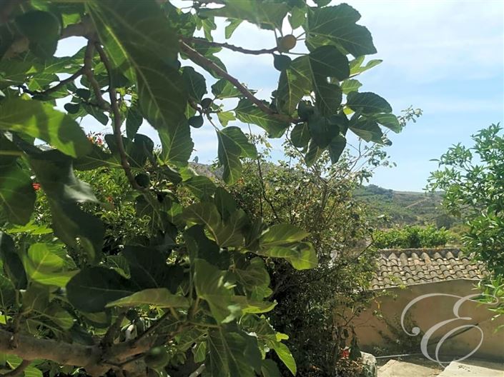 Image No.27-Propriété de 4 chambres à vendre à Benamargosa