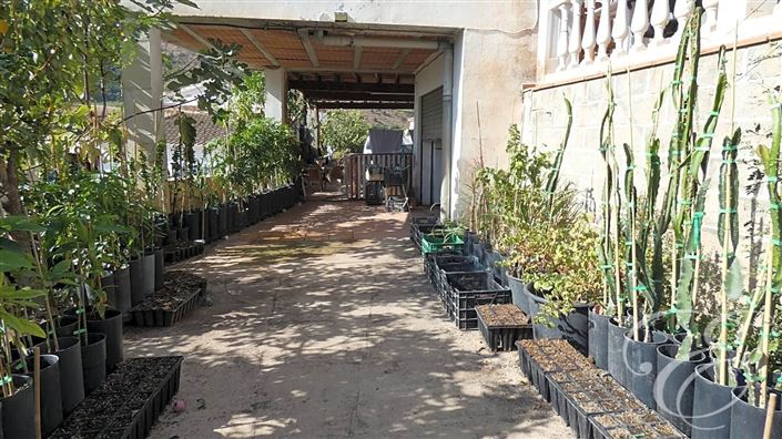 Image No.4-Propriété de 4 chambres à vendre à Benamargosa