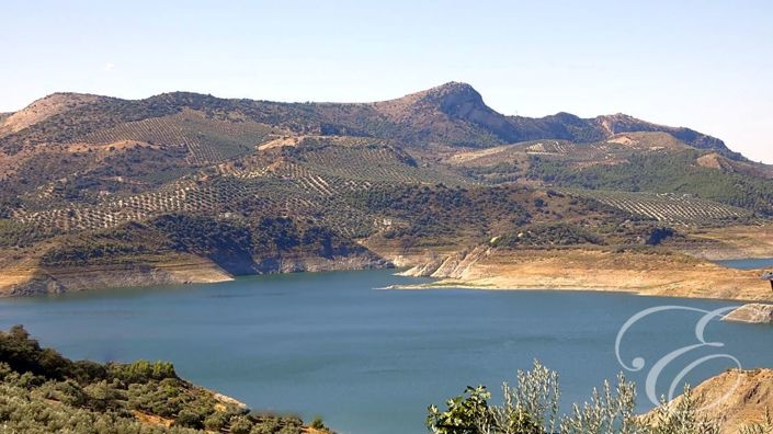 Image No.20-10 Bed Property for sale