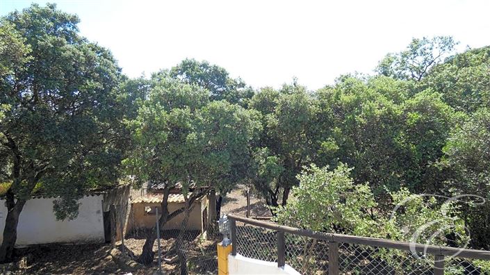 Image No.26-Propriété de 11 chambres à vendre à Archidona