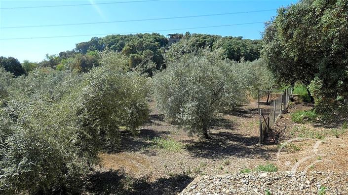 Image No.28-Propriété de 11 chambres à vendre à Archidona
