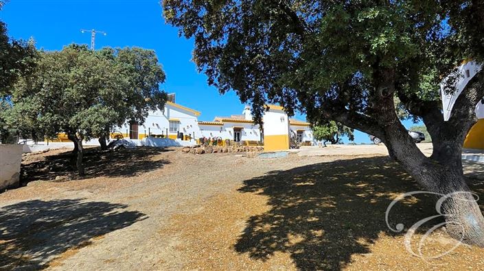 Image No.3-Propriété de 11 chambres à vendre à Archidona