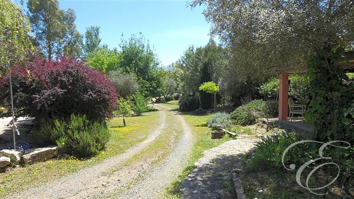 Image No.35-Propriété de 5 chambres à vendre à Archidona