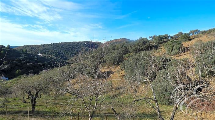 Image No.22-Propriété de 3 chambres à vendre à Casabermeja