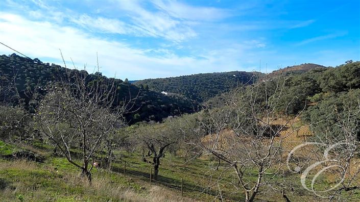 Image No.4-Propriété de 3 chambres à vendre à Casabermeja