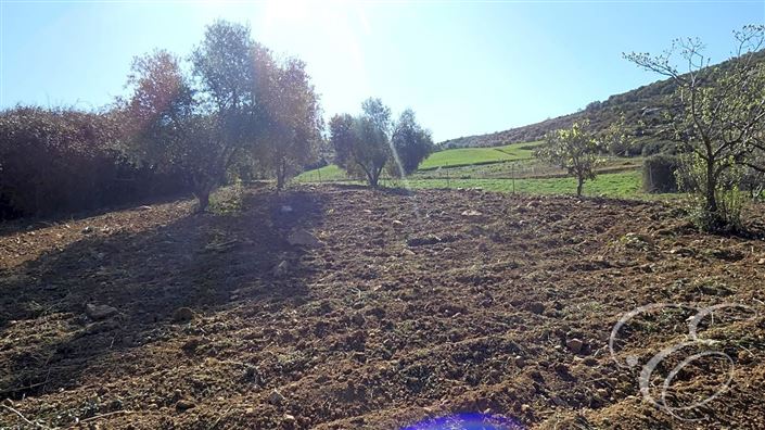 Image No.25-6 Bed Property for sale