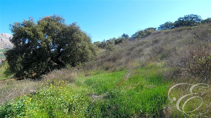 Image No.28-6 Bed Property for sale