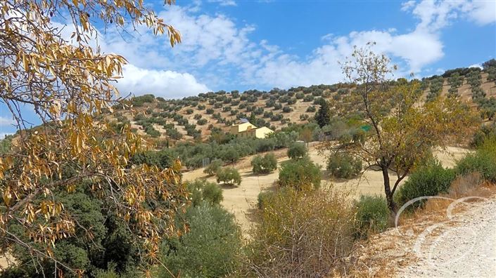 Image No.25-Propriété de 6 chambres à vendre à Iznájar