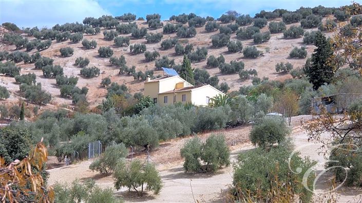 Image No.26-Propriété de 6 chambres à vendre à Iznájar