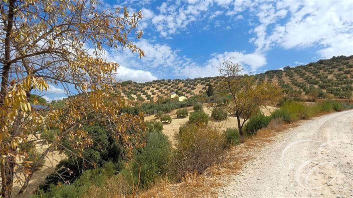 Image No.27-Propriété de 6 chambres à vendre à Iznájar