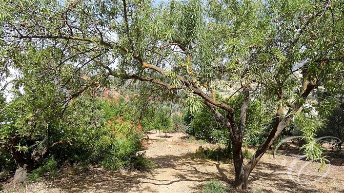 Image No.23-6 Bed Property for sale