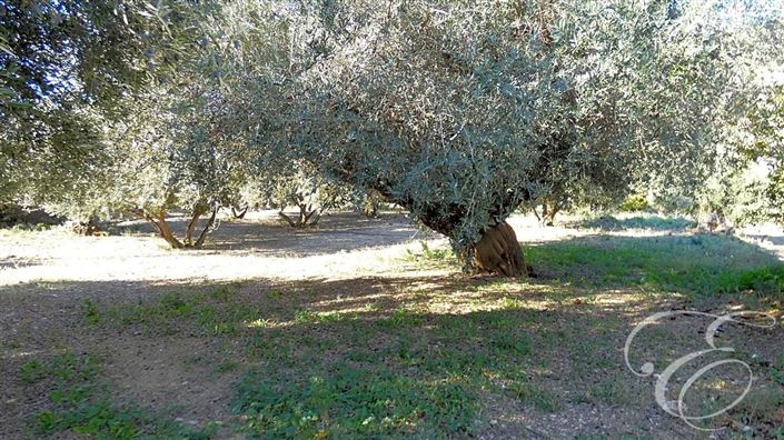 Image No.11-2 Bed Property for sale