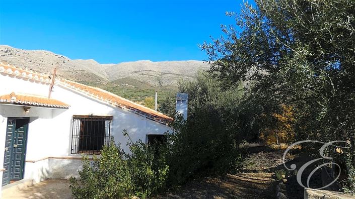 Image No.3-2 Bed Property for sale