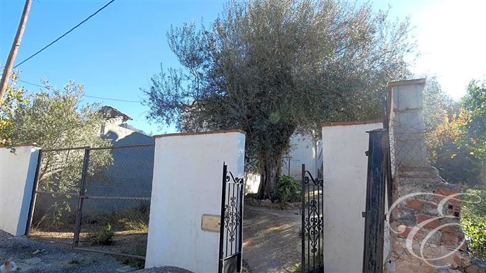 Image No.10-2 Bed Property for sale