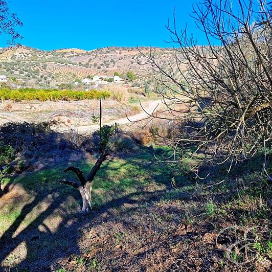 Image No.4-3 Bed Property for sale