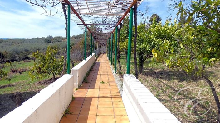 Image No.21-Propriété de 4 chambres à vendre à Periana