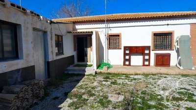 dd4b5120-0003934631
